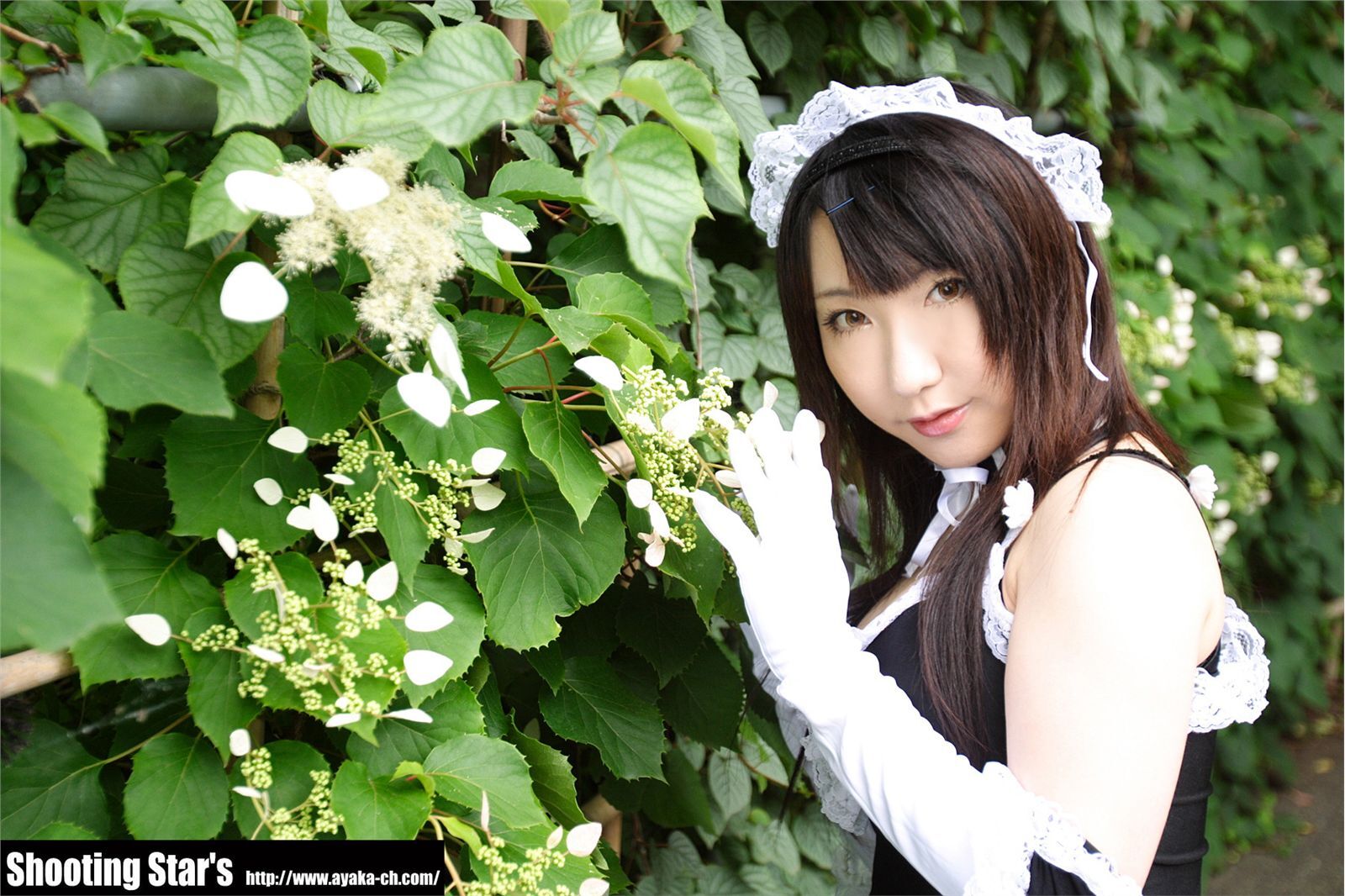 [Cosplay]  Sexy Maid with big boobs